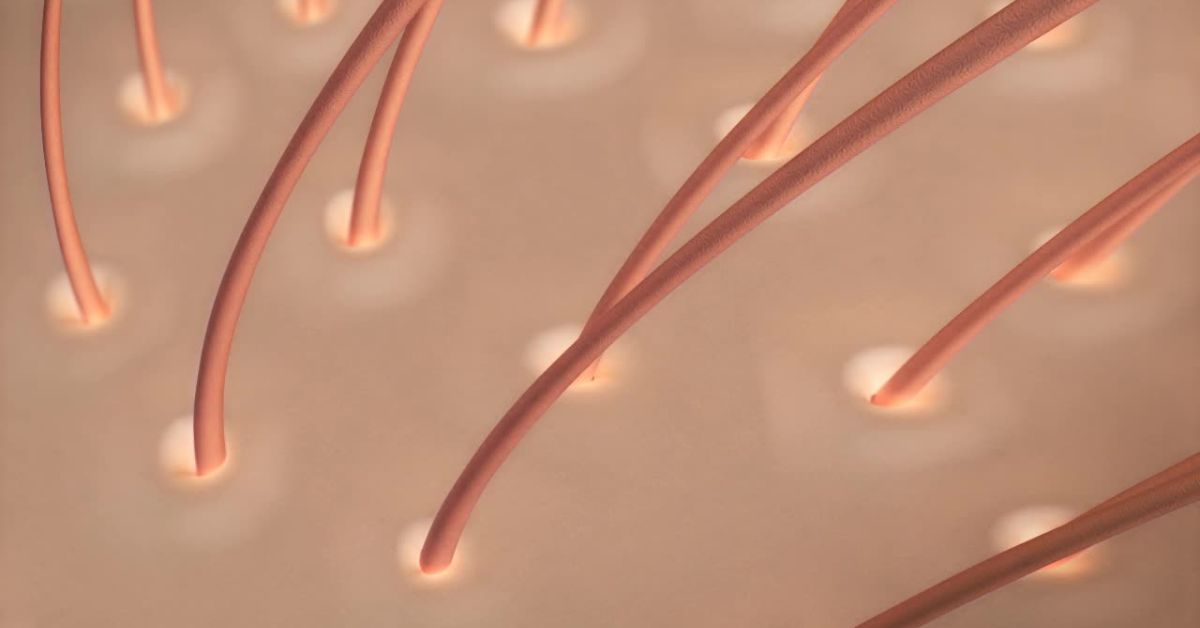 The-Link-Between-Gut-Health-and-Your-Hair